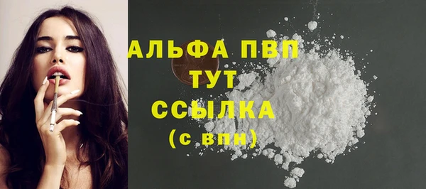 сатива Баксан