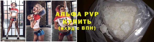 сатива Баксан
