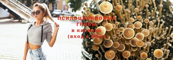 сатива Баксан