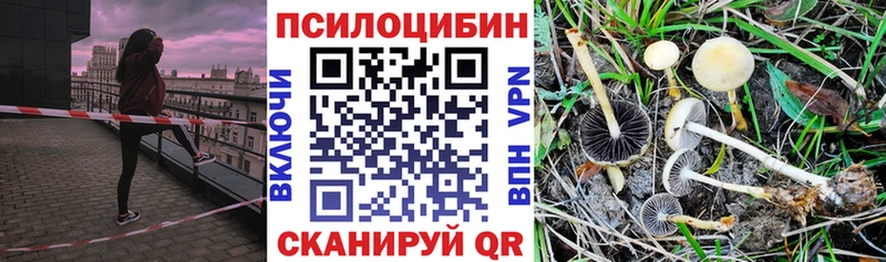 Галлюциногенные грибы ЛСД  Новоаннинский 